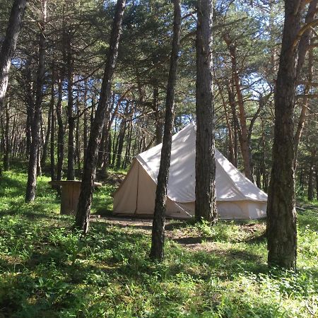 Camping La Chabannerie Hotel Saint-Martin-de-Clelles Exterior photo